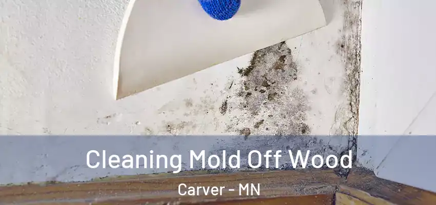  Cleaning Mold Off Wood Carver - MN
