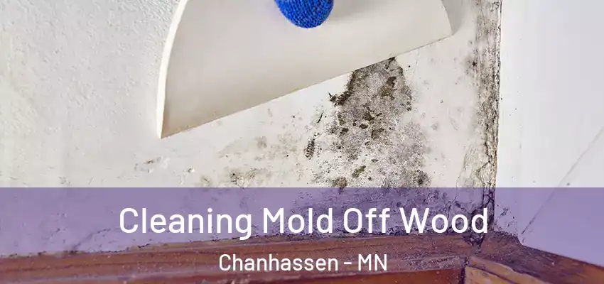  Cleaning Mold Off Wood Chanhassen - MN