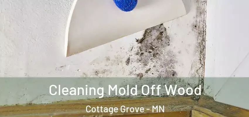  Cleaning Mold Off Wood Cottage Grove - MN