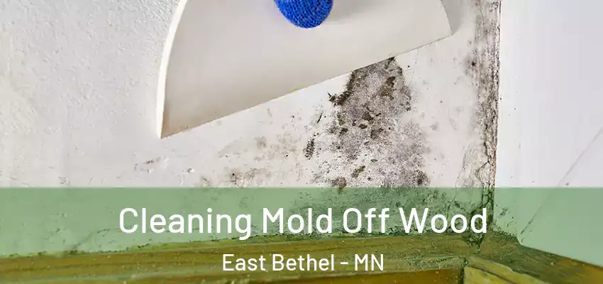  Cleaning Mold Off Wood East Bethel - MN