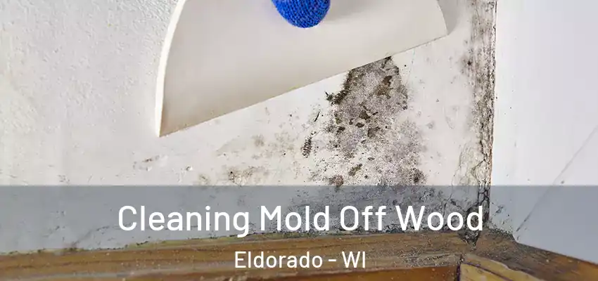 Cleaning Mold Off Wood Eldorado - WI
