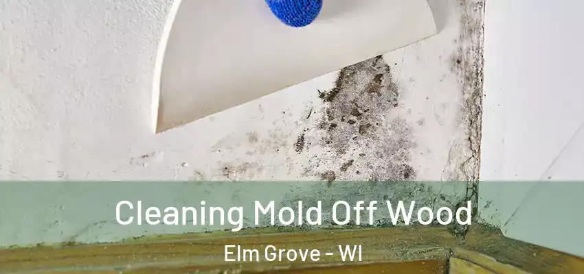  Cleaning Mold Off Wood Elm Grove - WI
