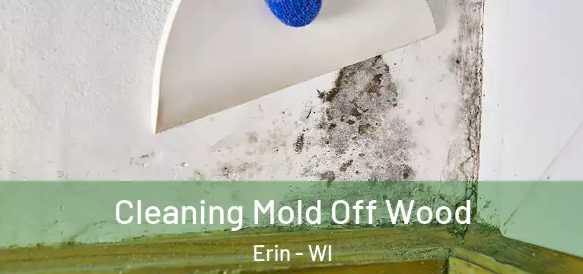  Cleaning Mold Off Wood Erin - WI