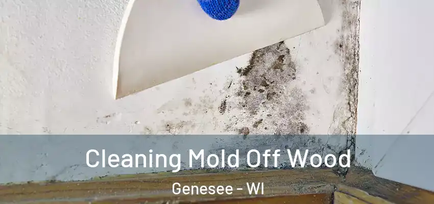  Cleaning Mold Off Wood Genesee - WI