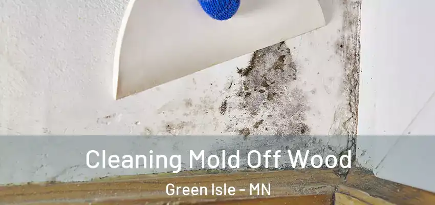  Cleaning Mold Off Wood Green Isle - MN