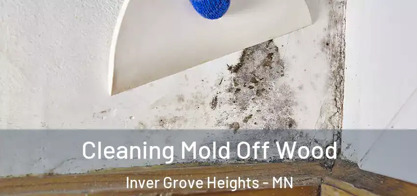  Cleaning Mold Off Wood Inver Grove Heights - MN