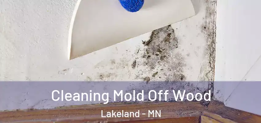  Cleaning Mold Off Wood Lakeland - MN