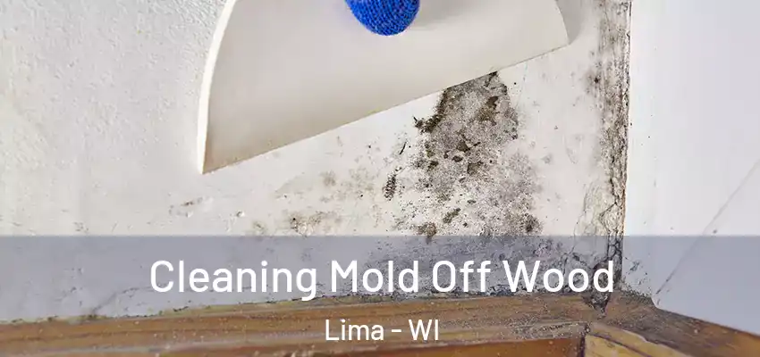  Cleaning Mold Off Wood Lima - WI