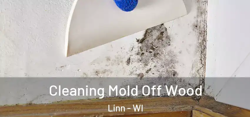  Cleaning Mold Off Wood Linn - WI