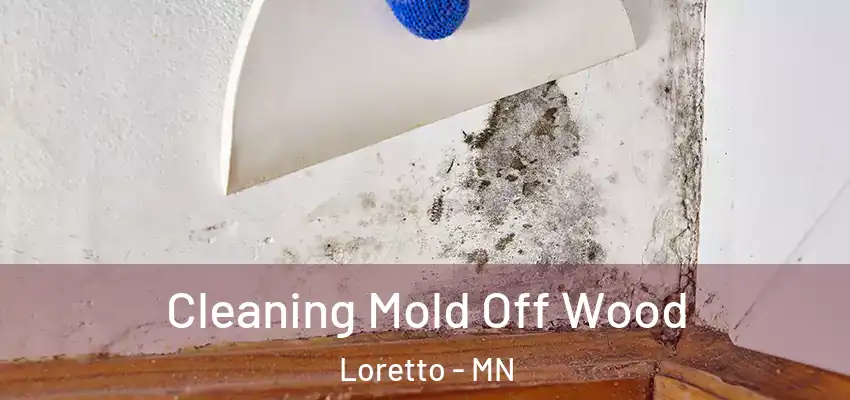  Cleaning Mold Off Wood Loretto - MN