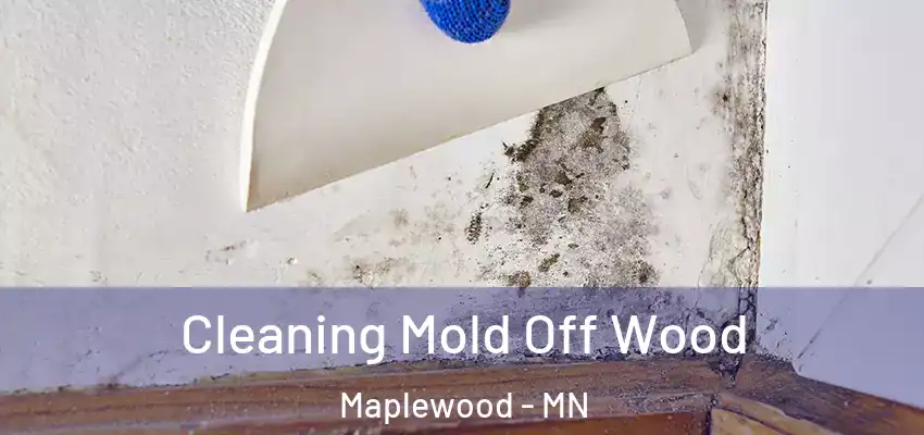  Cleaning Mold Off Wood Maplewood - MN