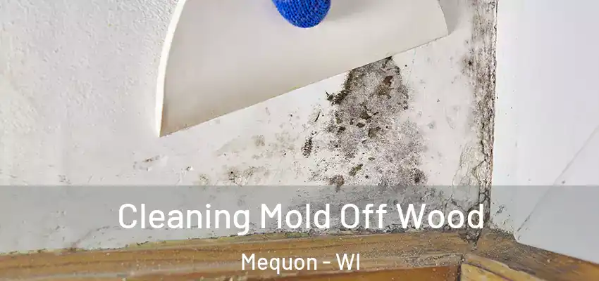  Cleaning Mold Off Wood Mequon - WI