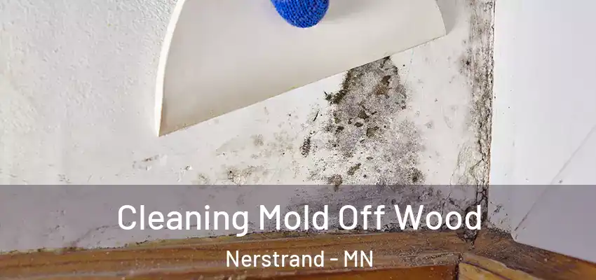  Cleaning Mold Off Wood Nerstrand - MN