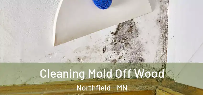  Cleaning Mold Off Wood Northfield - MN