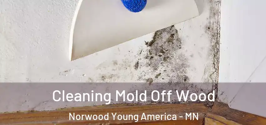  Cleaning Mold Off Wood Norwood Young America - MN