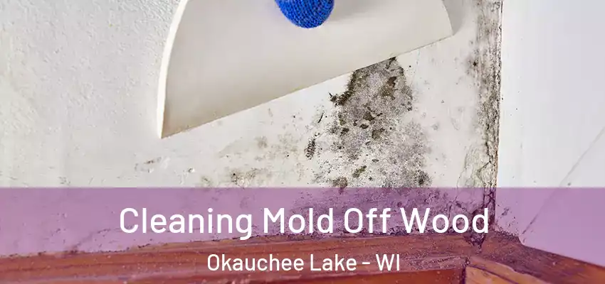 Cleaning Mold Off Wood Okauchee Lake - WI