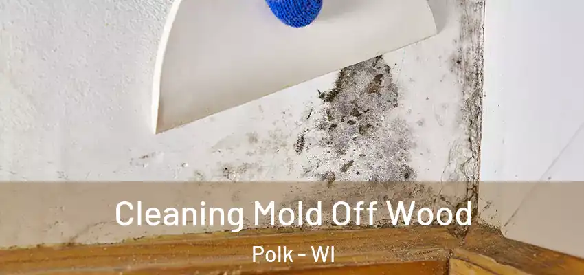  Cleaning Mold Off Wood Polk - WI