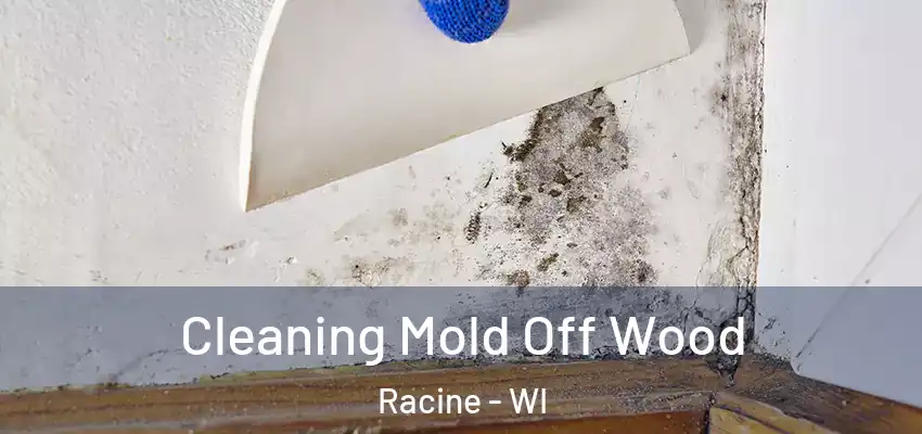  Cleaning Mold Off Wood Racine - WI
