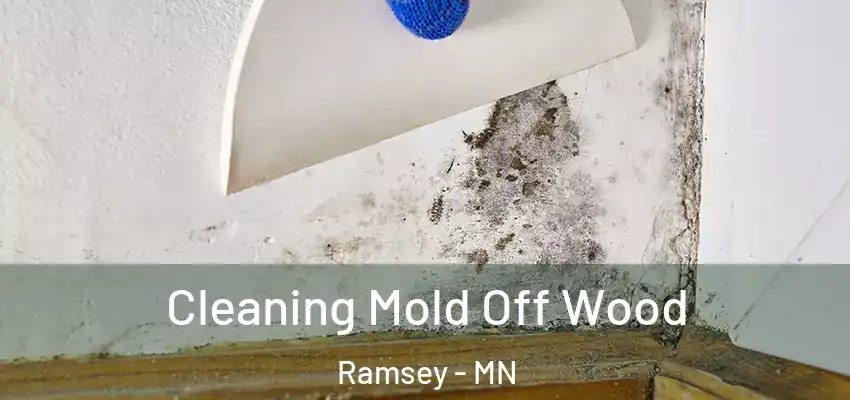  Cleaning Mold Off Wood Ramsey - MN