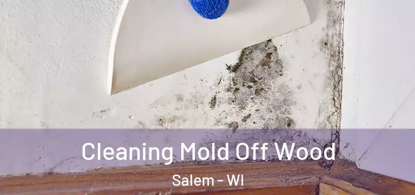  Cleaning Mold Off Wood Salem - WI