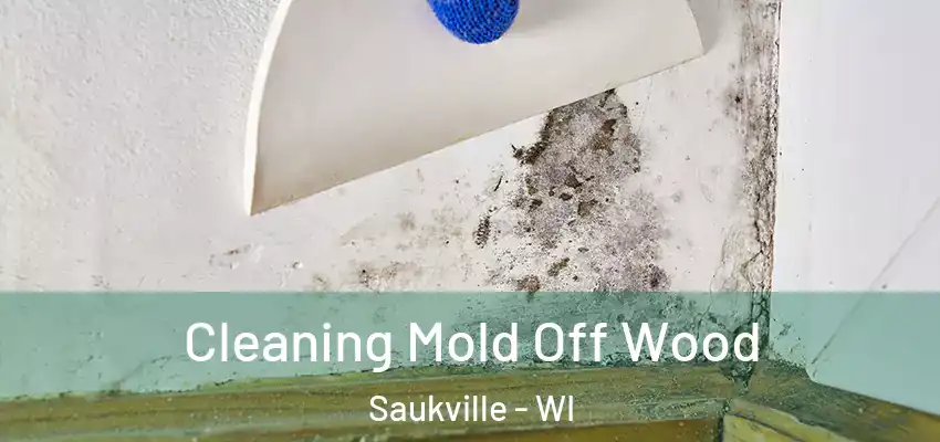  Cleaning Mold Off Wood Saukville - WI
