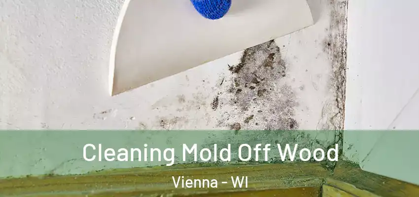  Cleaning Mold Off Wood Vienna - WI