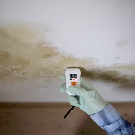 Reliable Mold Inspection Experts in Madison, WI