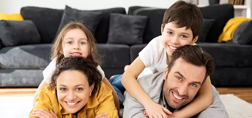 Mold Stain Remover for Wood in Madison, WI