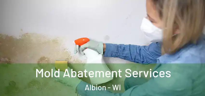 Mold Abatement Services Albion - WI