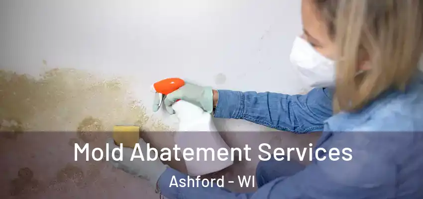  Mold Abatement Services Ashford - WI