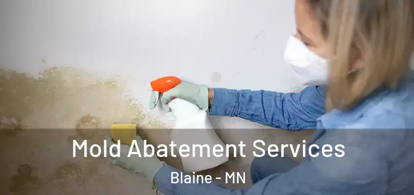  Mold Abatement Services Blaine - MN