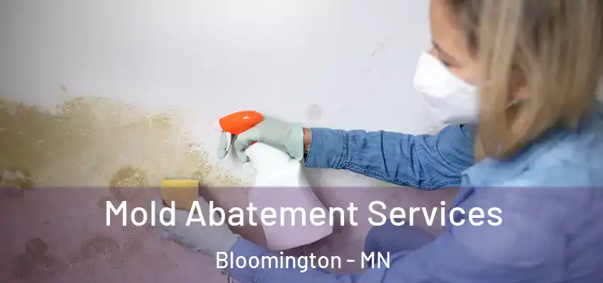  Mold Abatement Services Bloomington - MN