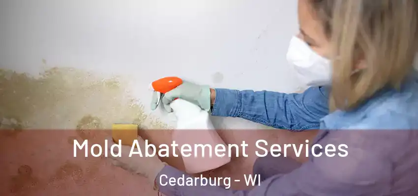  Mold Abatement Services Cedarburg - WI