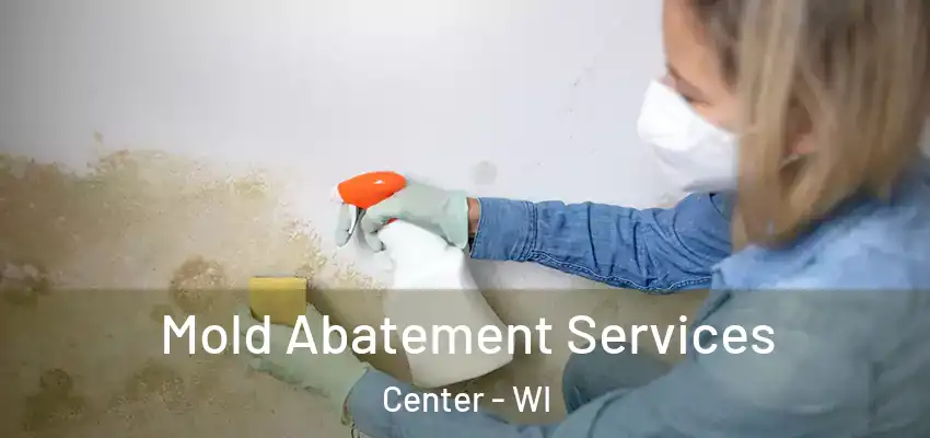  Mold Abatement Services Center - WI