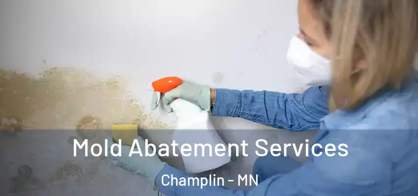  Mold Abatement Services Champlin - MN