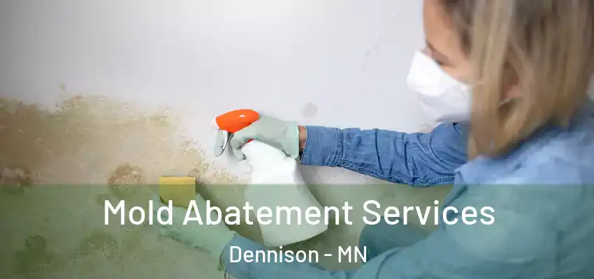  Mold Abatement Services Dennison - MN