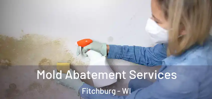  Mold Abatement Services Fitchburg - WI