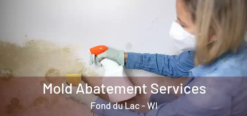  Mold Abatement Services Fond du Lac - WI