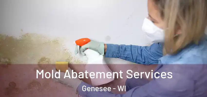  Mold Abatement Services Genesee - WI