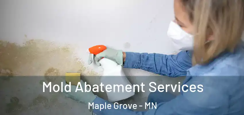 Mold Abatement Services Maple Grove - MN