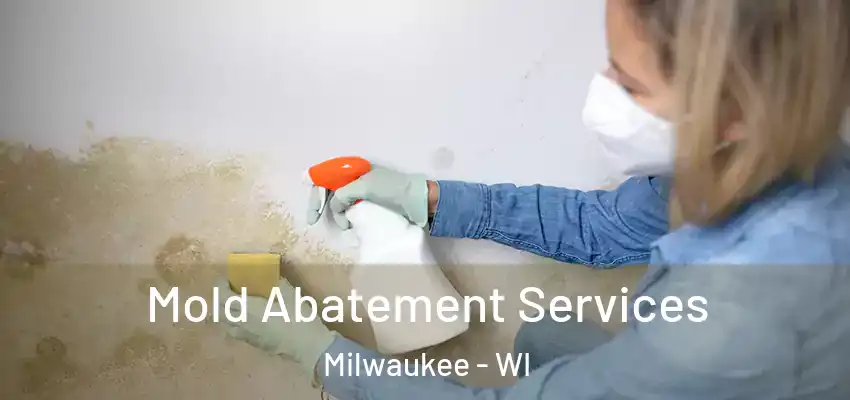  Mold Abatement Services Milwaukee - WI