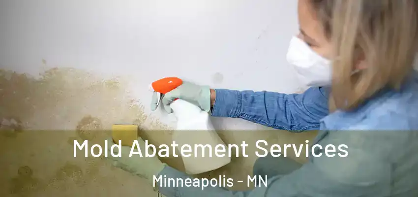 Mold Abatement Services Minneapolis - MN