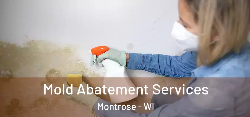 Mold Abatement Services Montrose - WI