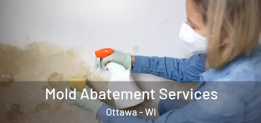  Mold Abatement Services Ottawa - WI