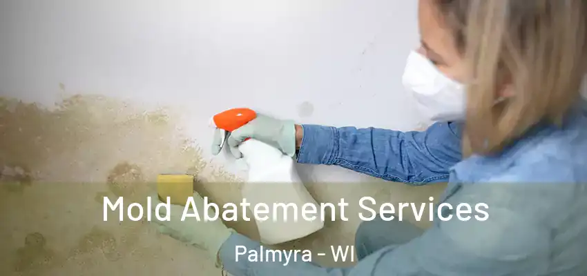 Mold Abatement Services Palmyra - WI