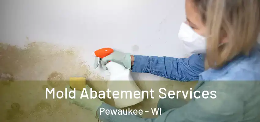  Mold Abatement Services Pewaukee - WI
