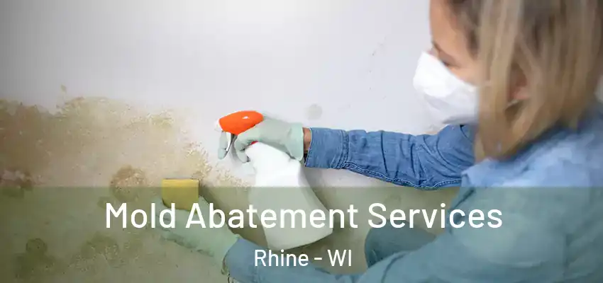  Mold Abatement Services Rhine - WI