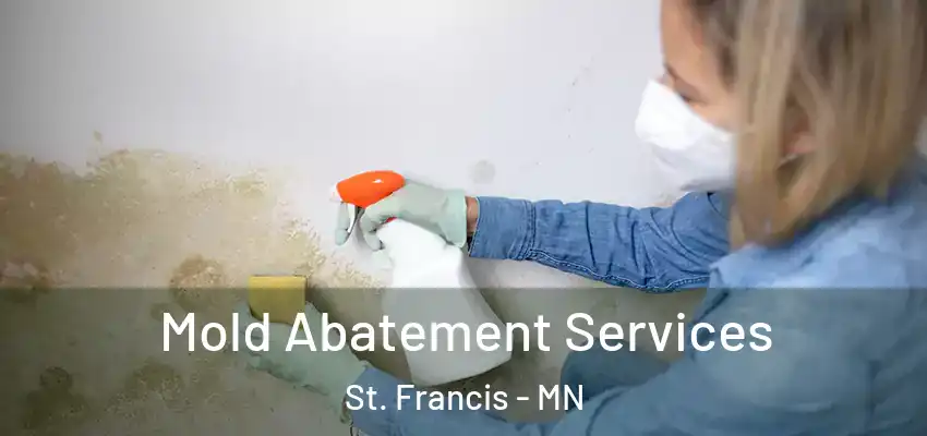  Mold Abatement Services St. Francis - MN