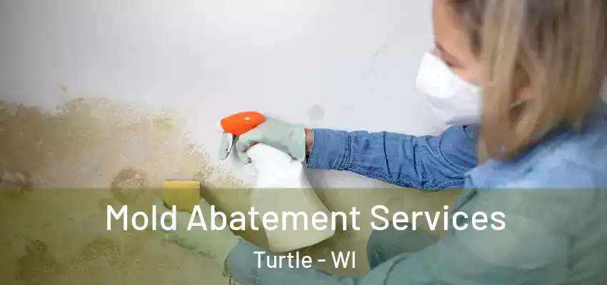  Mold Abatement Services Turtle - WI