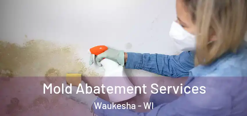  Mold Abatement Services Waukesha - WI